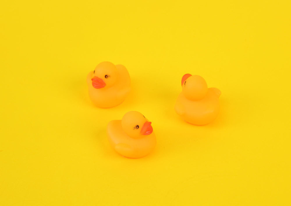 Comment utiliser un Canard Vibrant ?