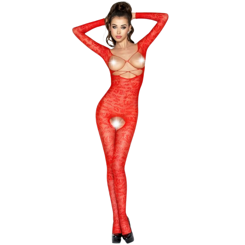 Bodystocking Résille Broderie BS031 Ouvert Entrejambe - Passion
