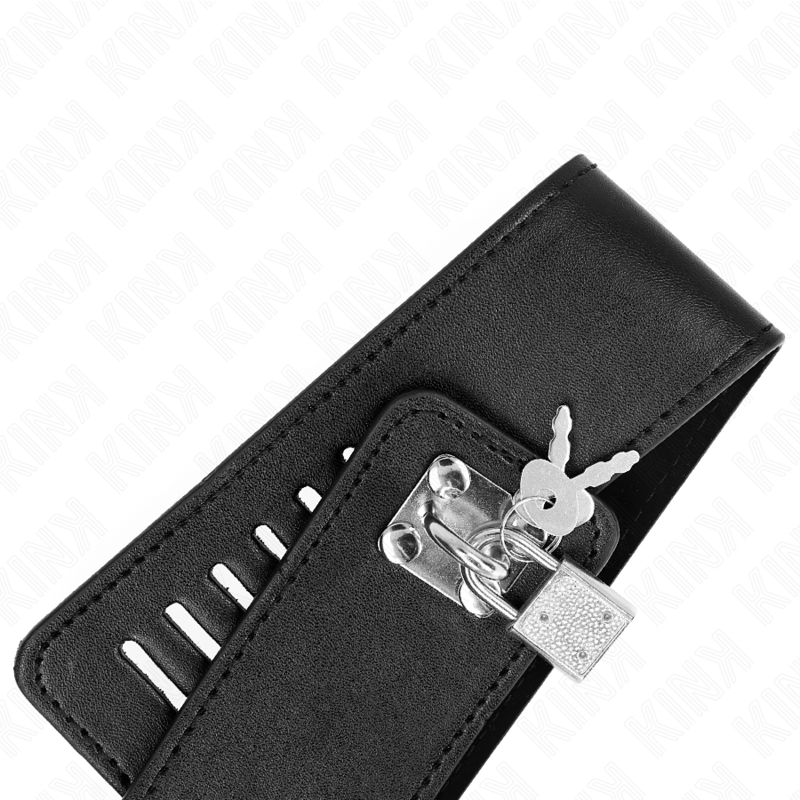 Collier BDSM avec Laisse Réglable 36-43 cm Modèle 2 - Kink