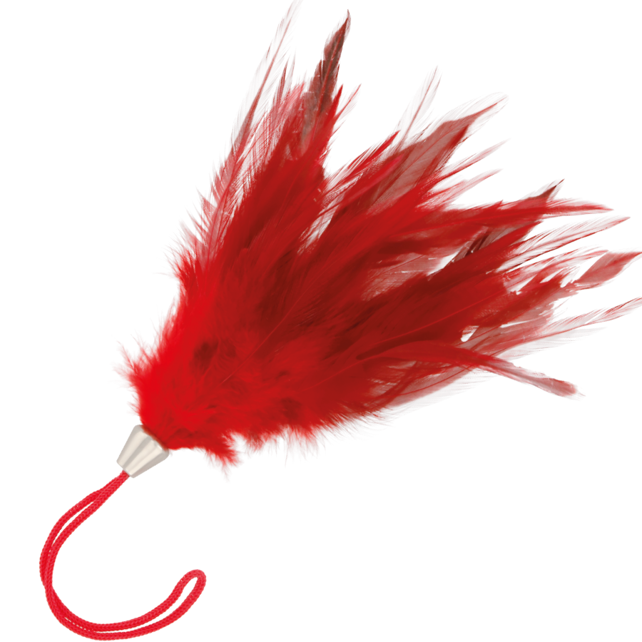 Plumeau Érotique Stimulant Mini Plumes 17 cm - Darkness